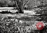 Image of United States Marines United States USA, 1944, second 36 stock footage video 65675027734