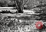 Image of United States Marines United States USA, 1944, second 37 stock footage video 65675027734