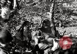 Image of United States Marines United States USA, 1944, second 46 stock footage video 65675027734