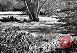 Image of United States Marines United States USA, 1944, second 57 stock footage video 65675027734