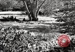 Image of United States Marines United States USA, 1944, second 59 stock footage video 65675027734