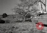Image of DUKWs United States USA, 1945, second 11 stock footage video 65675027735