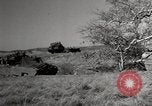 Image of DUKWs United States USA, 1945, second 13 stock footage video 65675027735