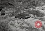 Image of United States Marines United States USA, 1945, second 5 stock footage video 65675027737