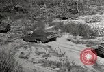 Image of United States Marines United States USA, 1945, second 6 stock footage video 65675027737