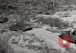 Image of United States Marines United States USA, 1945, second 7 stock footage video 65675027737