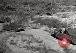 Image of United States Marines United States USA, 1945, second 8 stock footage video 65675027737