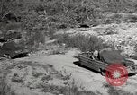 Image of United States Marines United States USA, 1945, second 9 stock footage video 65675027737