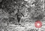 Image of United States Marines United States USA, 1945, second 15 stock footage video 65675027737