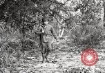 Image of United States Marines United States USA, 1945, second 16 stock footage video 65675027737