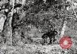 Image of United States Marines United States USA, 1945, second 33 stock footage video 65675027737