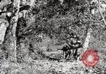 Image of United States Marines United States USA, 1945, second 34 stock footage video 65675027737