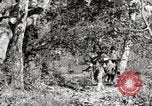 Image of United States Marines United States USA, 1945, second 35 stock footage video 65675027737