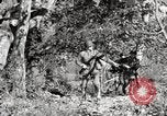 Image of United States Marines United States USA, 1945, second 36 stock footage video 65675027737