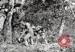 Image of United States Marines United States USA, 1945, second 41 stock footage video 65675027737