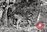 Image of United States Marines United States USA, 1945, second 42 stock footage video 65675027737