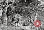 Image of United States Marines United States USA, 1945, second 43 stock footage video 65675027737