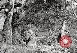 Image of United States Marines United States USA, 1945, second 44 stock footage video 65675027737