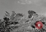 Standbild United States Marine Artillerie feuern Batterie europäische Theater, 1945, aus Sekunde 1 historischem Filmmaterial Videoclip 65675027738