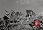Standbild United States Marine Artillerie feuern Batterie europäische Theater, 1945, aus Sekunde 3 historischem Filmmaterial Videoclip 65675027738
