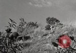 Standbild United States Marine Artillerie feuern Batterie europäische Theater, 1945, aus Sekunde 11 historischem Filmmaterial Videoclip 65675027738