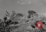 Standbild United States Marine Artillerie feuern Batterie europäische Theater, 1945, aus Sekunde 13 historischem Filmmaterial Videoclip 65675027738