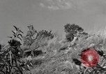 Standbild United States Marine Artillerie feuern Batterie europäische Theater, 1945, aus Sekunde 14 historischem Filmmaterial Videoclip 65675027738