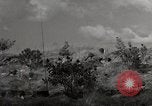 Standbild United States Marine Artillerie feuern Batterie europäische Theater, 1945, aus Sekunde 22 historischem Filmmaterial Videoclip 65675027738