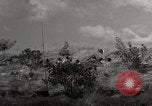 Standbild United States Marine Artillerie feuern Batterie europäische Theater, 1945, aus Sekunde 24 historischem Filmmaterial Videoclip 65675027738