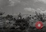 Standbild United States Marine Artillerie feuern Batterie europäische Theater, 1945, aus Sekunde 25 historischem Filmmaterial Videoclip 65675027738