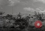 Standbild United States Marine Artillerie feuern Batterie europäische Theater, 1945, aus Sekunde 26 historischem Filmmaterial Videoclip 65675027738