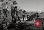 Standbild United States Marine Artillerie feuern Batterie europäische Theater, 1945, aus Sekunde 31 historischem Filmmaterial Videoclip 65675027738