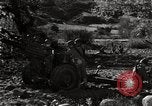 Standbild United States Marine Artillerie feuern Batterie europäische Theater, 1945, aus Sekunde 33 historischem Filmmaterial Videoclip 65675027738