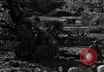 Standbild United States Marine Artillerie feuern Batterie europäische Theater, 1945, aus Sekunde 35 historischem Filmmaterial Videoclip 65675027738