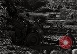 Standbild United States Marine Artillerie feuern Batterie europäische Theater, 1945, aus Sekunde 37 historischem Filmmaterial Videoclip 65675027738