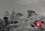 Standbild United States Marine Artillerie feuern Batterie europäische Theater, 1945, aus Sekunde 43 historischem Filmmaterial Videoclip 65675027738