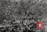 Standbild United States Marine Artillerie feuern Batterie europäische Theater, 1945, aus Sekunde 55 historischem Filmmaterial Videoclip 65675027738
