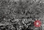 Standbild United States Marine Artillerie feuern Batterie europäische Theater, 1945, aus Sekunde 56 historischem Filmmaterial Videoclip 65675027738