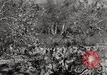 Standbild United States Marine Artillerie feuern Batterie europäische Theater, 1945, aus Sekunde 57 historischem Filmmaterial Videoclip 65675027738