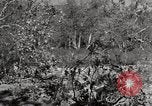 Standbild United States Marine Artillerie feuern Batterie europäische Theater, 1945, aus Sekunde 58 historischem Filmmaterial Videoclip 65675027738