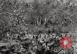 Standbild United States Marine Artillerie feuern Batterie europäische Theater, 1945, aus Sekunde 59 historischem Filmmaterial Videoclip 65675027738