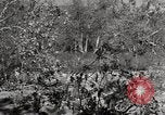 Standbild United States Marine Artillerie feuern Batterie europäische Theater, 1945, aus Sekunde 61 historischem Filmmaterial Videoclip 65675027738