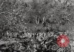 Standbild United States Marine Artillerie feuern Batterie europäische Theater, 1945, aus Sekunde 62 historischem Filmmaterial Videoclip 65675027738