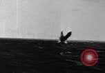 Immagine di Il cannone navale Okinawa isole Ryukyu, 1945, secondo 51 filmato di repertorio 65675027748
