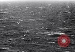 Standbild F4U Flugzeugabsturz Korea, 1951, aus Sekunde 53 historischem Filmmaterial Videoclip 65675027757