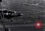 Image of F9F-2 aircraft crash Korea, 1951, second 28 stock footage video 65675027758
