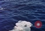 Image des opérations de sauvetage United States USA, 1962, de la seconde 48 séquences d'archives historiques vidéo 65675027767