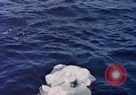 Image des opérations de sauvetage United States USA, 1962, de la seconde 49 séquences d'archives historiques vidéo 65675027767