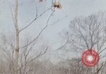 Standbild Ich Virgil Grissom Beerdigung Arlington Cemetery Virginia USA, 1967, aus Sekunde 38 historischem Filmmaterial Videoclip 65675027809