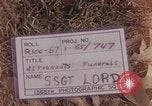 Standbild Beerdigung von Astronauten Lieutenant Commander Roger Chaffee B Arlington Virginia USA, 1967, aus Sekunde 3 historischem Filmmaterial Videoclip 65675027813